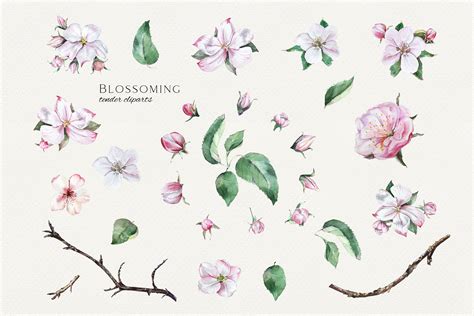 Apple Blossom Watercolor Set By Olga Koelsch