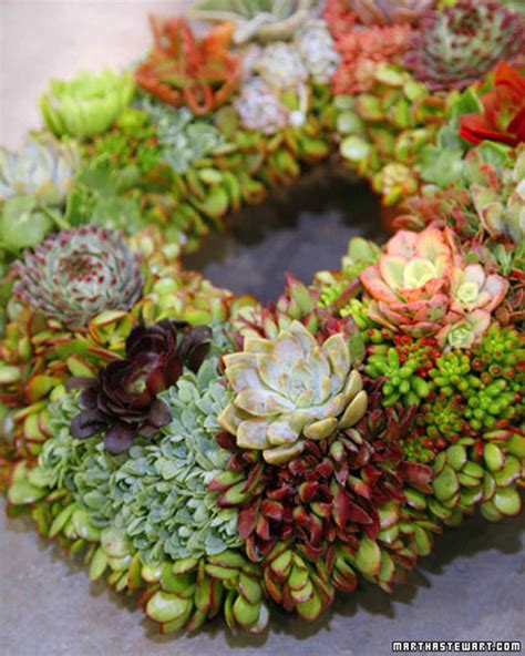 Succulent Wreath And Video Martha Stewart