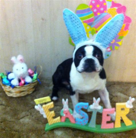 Chances are you have already discovered what to do to make your little bundle of joy pleased. 104 best BT