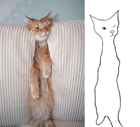 We did not find results for: Walau Cuma Garis Sederhana, 13 Gambar Kucing Ini Tampak ...