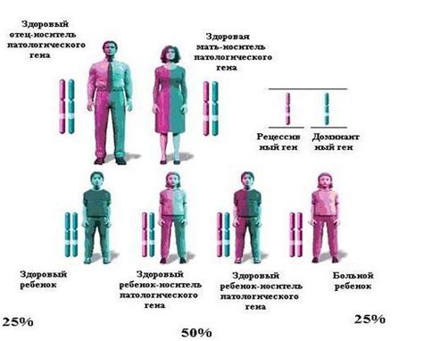 Что это за болезнь, каковы ее муковисцидоз — самое распространенное среди всех наследственных заболеваний1. Муковисцидоз - это что за болезнь, ее симптомы и лечение