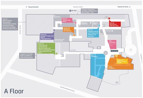 Floor Plan Maidstone Hospital Map Hospital Floor Maps Texoma