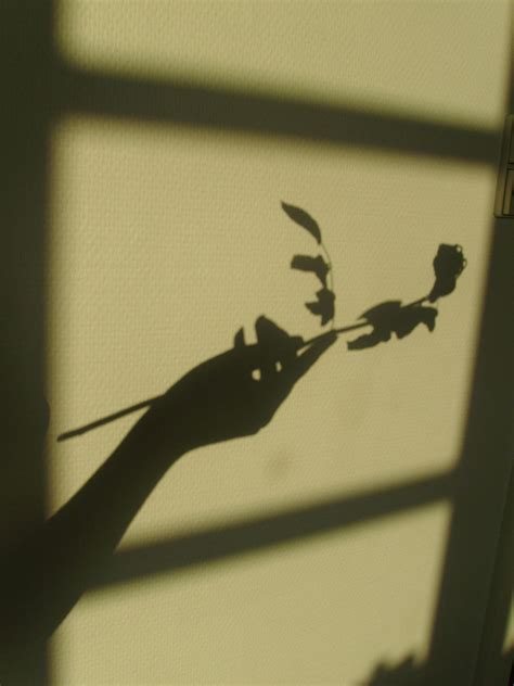Shadow Love By Ellinrep On Deviantart