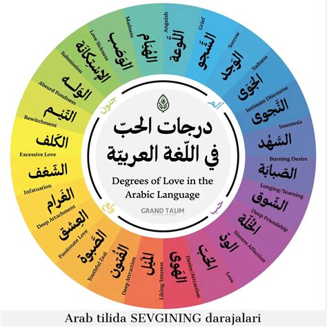 درجات الحب عند الرجل وما طريقة الرجل في التعبير أثناء المرور بمراحل الحب؟ مدونة صدى الامة