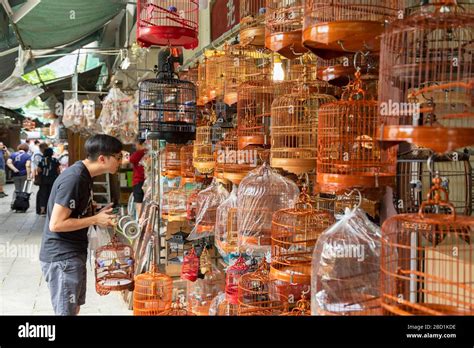 Bird Market Mong Kok Kowloon Hong Kong China Asia Stock Photo Alamy
