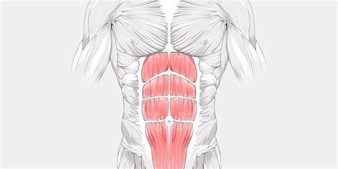Abdominal Strain The Complete Injury Guide Vive Health