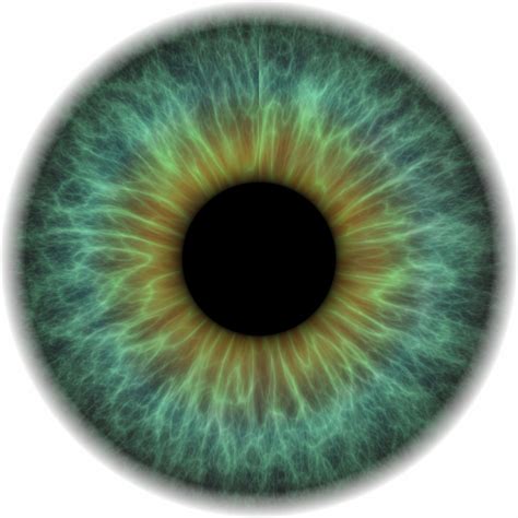 Ophthalmologic Pharmacology Eye Texture Iris Eye Eye Drawing
