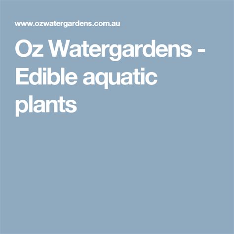 Oz Watergardens Edible Aquatic Plants Container Gardening Indoor
