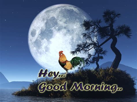 Hey Good Morning Pictures Photos And Images For Facebook