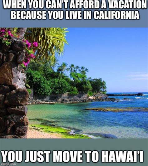 hawaii memes imgflip