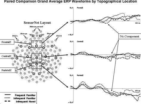 The Grand Average Event Related Potential Erp Waveforms For The