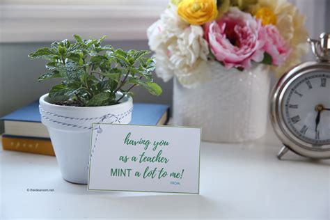 Or you could get something that. Herb Plants Teacher Gifts for Teacher Appreciation