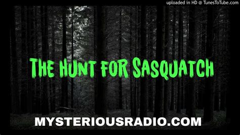 The Hunt For Sasquatch Mysterious Radio Mysterious Radio Sasquatch