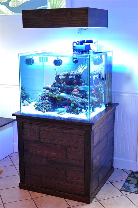 93 Cube Rimless Saltwater Tank With Recycled Wood Panels