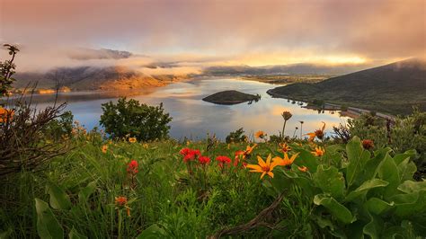Sunrise With Spring Wildflowers In Heber Valley Wasatch Mountains