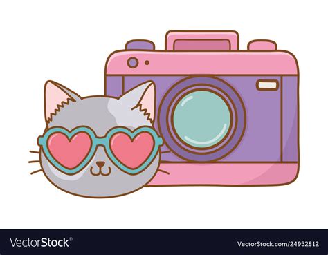 Cat And Photographic Camera Royalty Free Vector Image