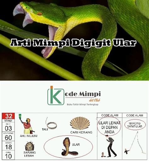 kode alam ular 4d