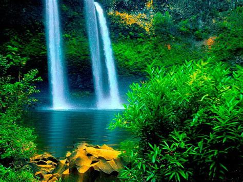 Forest Falls Forest Green Nature Trees Lake Waterfalls Landscape