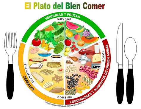 Aprende Sobre Nutrición ¿cómo Usar El Plato Del Bien Comer