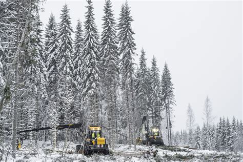 Finnish Forest Sector Grows In Many Areas Output Is Largest Near