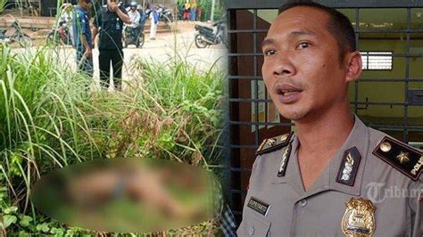 Update Penemuan Mayat Di Tapung Syamsul Bahri Tewas Akibat Kekerasan