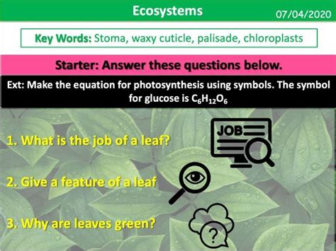 Leaves Teaching Resources