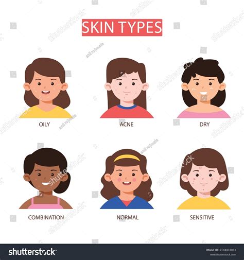 Basic Skin Types Chart Normal Dry Stock Vector Royalty Free