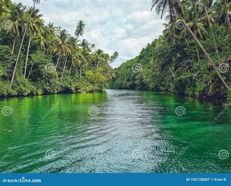 Loboc River Bohol Island Philippines Stock Image Image Of
