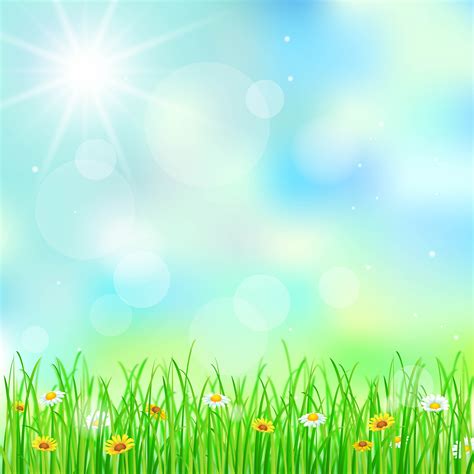 Spring Green Grass Background Vector Material Spring Background