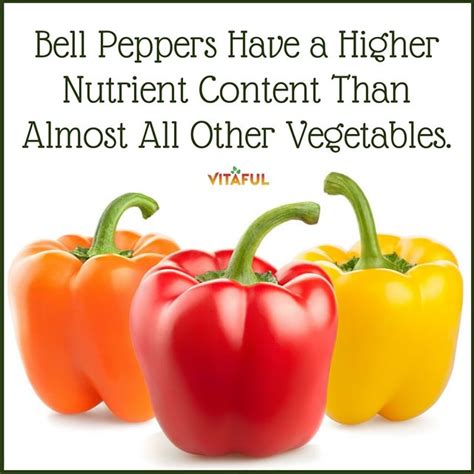 Food Facts Bell Peppers Have A Higher Nutrient Content Than Almost All