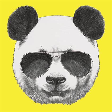 Best Panda Illustrations Royalty Free Vector Graphics And Clip Art Istock