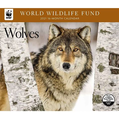 6 Best 2021 Wolf Calendars Owooooo Calendar Buy