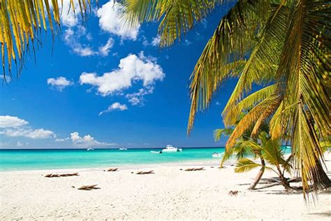 Island Hopping 6 Things To Do On Grand Bahama Island Ncl Travel Blog