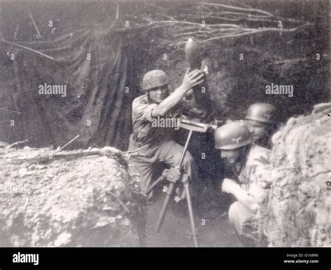 German Paratroops Fire Mortar Normandy France 1944 Stock Photo Alamy
