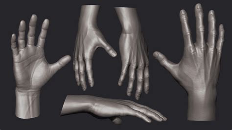 Zbrush Sculpt Of A Hand Study Session By Vickgaza On Deviantart