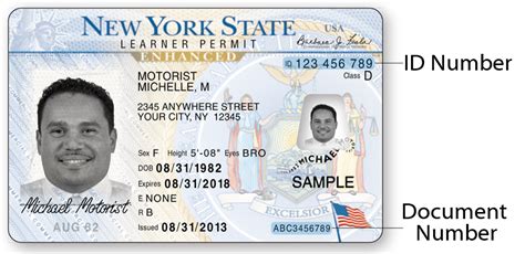 Michigan Drivers License Document Number Lifestyleele
