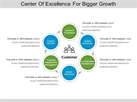 Center Of Excellence For Bigger Growth Ppt Diagrams