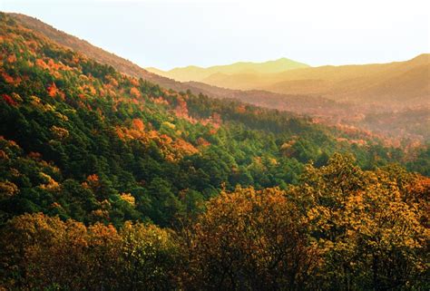 Fall Outing To The Ouachita National Forest