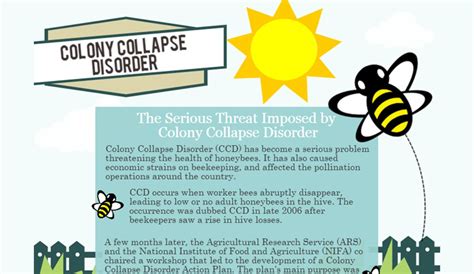 One main cause of this is colony collapse disorder (ccd). 6 Colony Collapse Disorder Statistics - HRF