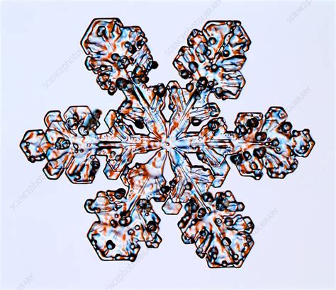 Rimed Stellar Dendrite Snowflake Light Micrograph Stock Image C047