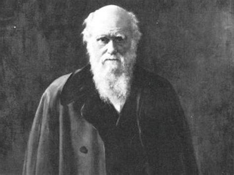 Page 3 Profile Charles Darwin Father Of Evolution The Independent