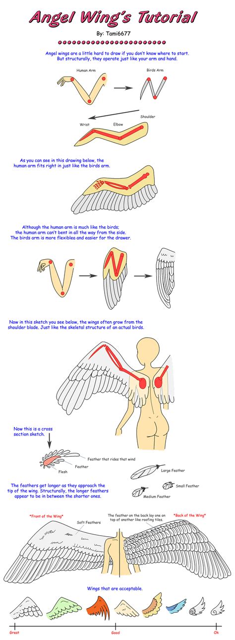 How To Draw Angel Wings By Tami6677 On Deviantart
