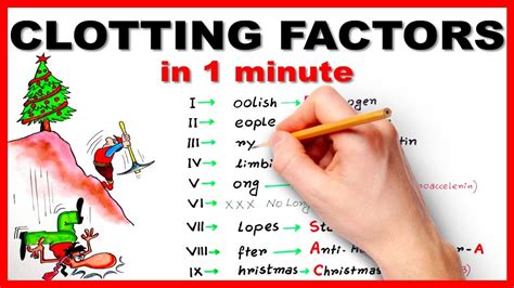 Clotting Factors In 1 Minute Mnemonic Series 6 Youtube