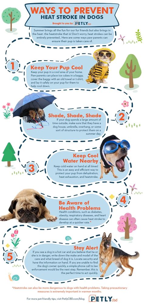Ways To Prevent Heat Stroke In Dogs Heat Stroke In Dogs Animal