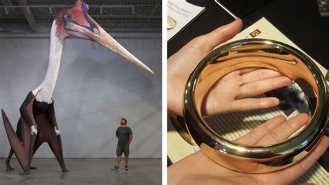 29 Pictures Of Things That Are Bigger Than You Expected