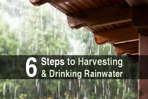 Genius DIY Ideas For Repurposing Five Gallon Buckets Rainwater