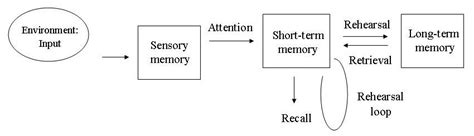 The mental process of registering, storing and retrieving information. The Modal Model of Memory (Atkinson & Shiffrin, 1968) was ...