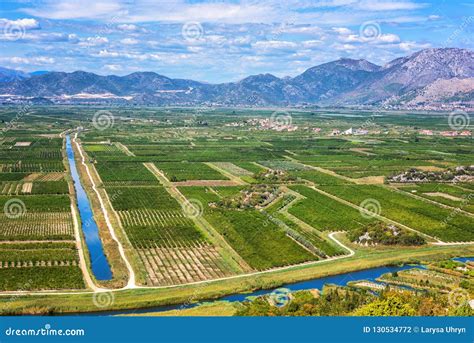 Aerial View Of Beautiful Fertile Neretva Valley Surrounded By Mountains