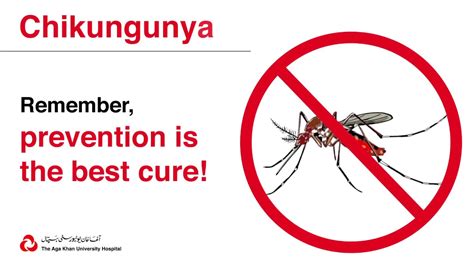 Chikungunya Fever Youtube
