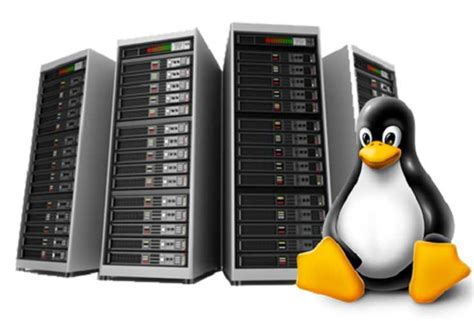 Cấu Hình Máy Chủ Vps Linux Và Hướng Dẫn Sử Dụng Linux